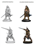 Pathfinder Battles Deep Cuts: Human Male Fighter