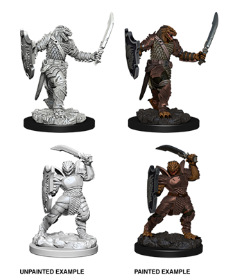 D&D Nolzur’s Marvelous Miniatures: Dragonborn Female Paladin