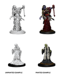 D&D Nolzur’s Marvelous Miniatures: Green Hag & Night Hag
