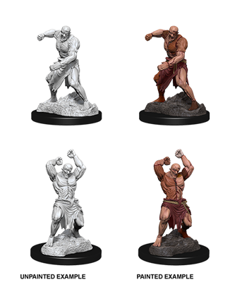 D&D Nolzur’s Marvelous Miniatures: Flesh Golem