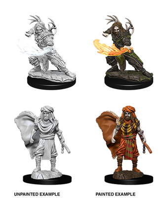 D&D Nolzur’s Marvelous Miniatures: Male Human Druid