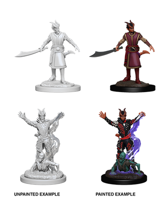 D&D Nolzur’s Marvelous Miniatures: Male Tiefling Warlock