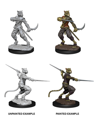D&D Nolzur’s Marvelous Miniatures: Manlig Tabaxi Rogue