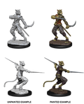 D&D Nolzur’s Marvelous Miniatures: Manlig Tabaxi Rogue