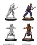 D&D Nolzur's Marvelous Miniatures - Male Human Monk