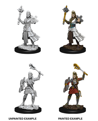 D&D Nolzur’s Marvelous Miniatures: Kvinnlig Människa Präst