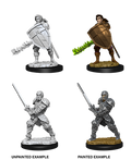 D&D Nolzur’s Marvelous Miniatures: Male Human Fighter