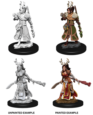 D&D Nolzur’s Marvelous Miniatures: Female Human Druid