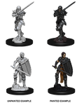 D&D Nolzur’s Marvelous Miniatures: Female Human Fighter