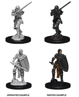 D&D Nolzur's Marvelous Miniatures - Female Human Fighter WizKids/NECA