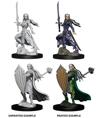 D&D Nolzur’s Marvelous Miniatures: Female Elf Paladin