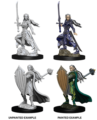 D&D Nolzur's Marvelous Miniatures - Female Elf Paladin WizKids/NECA