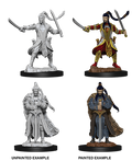 D&D Nolzur’s Marvelous Miniatures: Male Elf Paladin