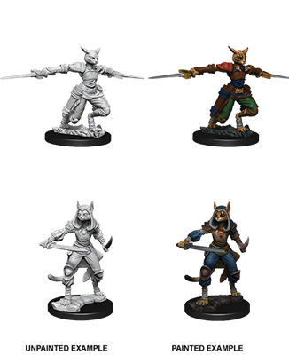 D&D Nolzur’s Marvelous Miniatures: Female Tabaxi Rogue