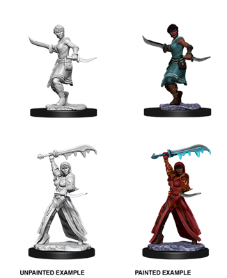 D&D Nolzur’s Marvelous Miniatures: Female Human Rogue