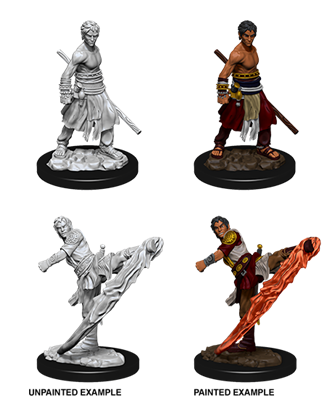 D&D Nolzur’s Marvelous Miniatures: Male Half-Elf Monk