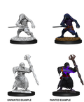 D&D Nolzur’s Marvelous Miniatures: Kenku Adventures