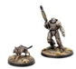 Fallout: Wasteland Warfare - X-01 Survivor & Dogmeat Modiphius Entertainment