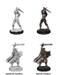 D&D Nolzur's Marvelous Miniatures: Male Human Paladin