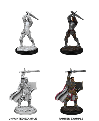 D&D Nolzur's Marvelous Miniatures: Male Human Paladin