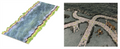 Battle Systems: Roads & Rivers - Engelsk Version Battle Systems