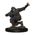 Pathfinder Battles Premium Painted Figur - Manlig Rogue WizKids/NECA