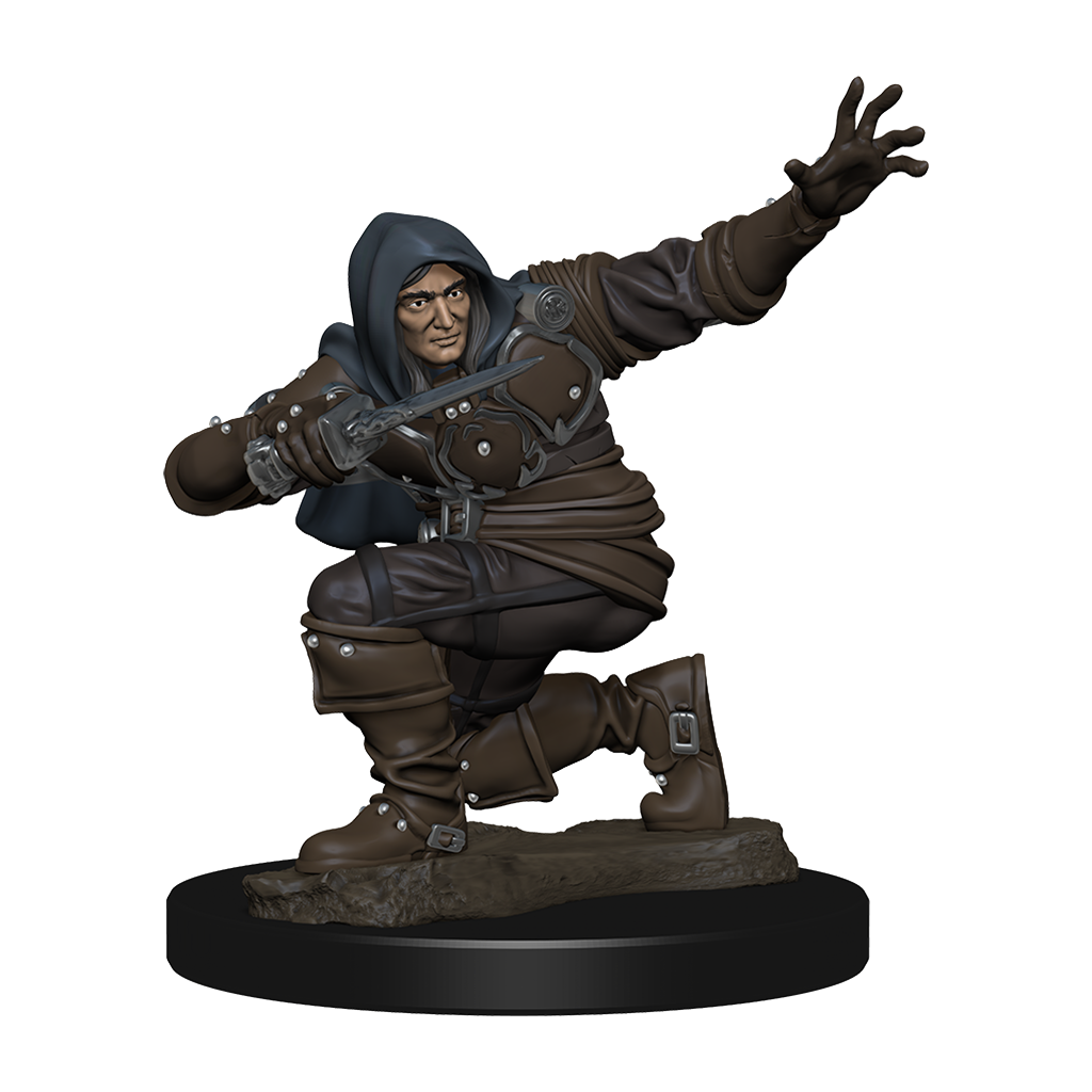 Pathfinder Battles Premium Painted Figur - Manlig Rogue WizKids/NECA
