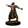 Pathfinder Battles: Premium Målad Figur - Halvalv Ranger Man WizKids/NECA