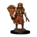 D&D Icons of the Realms Premium Figur: Manlig Druid WizKids/NECA