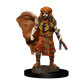 D&D Icons of the Realms Premium Figur: Manlig Druid WizKids/NECA
