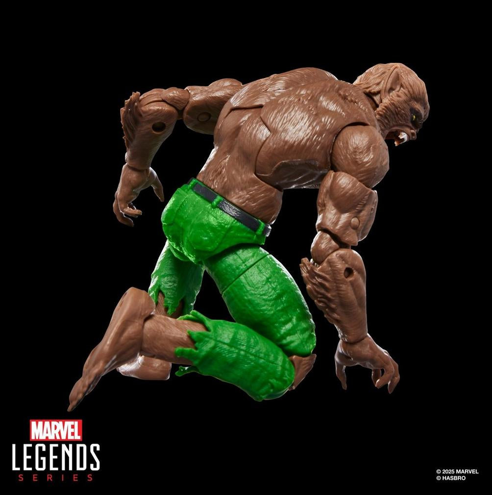 Marvel Legends Series Varulv På Natt