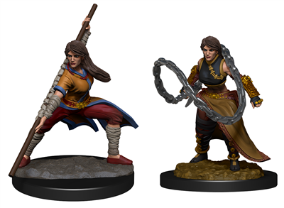 D&D Nolzur's Marvelous Miniatures: Human Monk Female