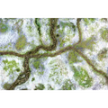 Kraken Wargames Gaming Mat - Snow Valley 44"x60" Kraken Wargames