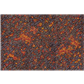 Kraken Wargames Gaming Mat - Magma River 44"x60" Kraken Wargames