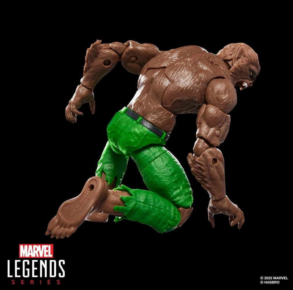 Marvel Legends Series Varulv På Natt