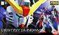 RG 1/144 Destiny Gundam Bandai