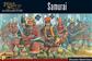 Pike & Shotte - Samurai - EN Warlord Games