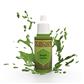 The Army Painter - Air Jungle Green The Army Painter