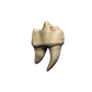 D&D Replicas of the Realms: Teeth of Dahlver-Nar Artifact WizKids/NECA