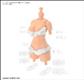 30MS OPTION BODY PARTS TYPE S03 [COLOR C] Bandai