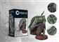 Conquest - Old Dominion: Dark Cenotaph Para Bellum Games