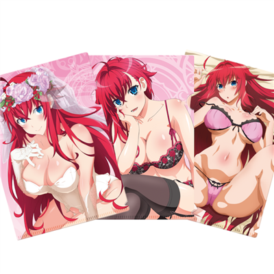 Highschool DxD Clearfile Set A4 Sakami Merchandise