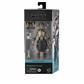 Star Wars The Black Series Professor Huyang Actionfigur Hasbro