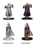 D&D Nolzur’s Marvelous Miniatures: Human Ranger & Moon Elf Sorcerer
