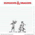 D&D Nolzur's Marvelous Miniatures: Tiefling Bard & Dwarf Cleric - EN