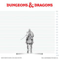 D&D Nolzur's Marvelous Miniatures: Nimblewright Steed with Rider - EN