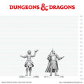 D&D Nolzur's Marvelous Miniatures: Knight & Mage Apprentice - EN