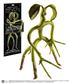 Fantastiska Vidunder - Poserbar Bowtruckle The Noble Collection France