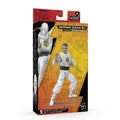 Power Rangers Lightning Collection Mighty Morphin X Cobra Kai Daniel LaRusso Morphed White Crane Ranger Hasbro