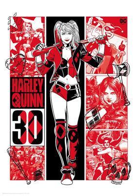 Harley Quinn Limited edition 30th anniversary art print
